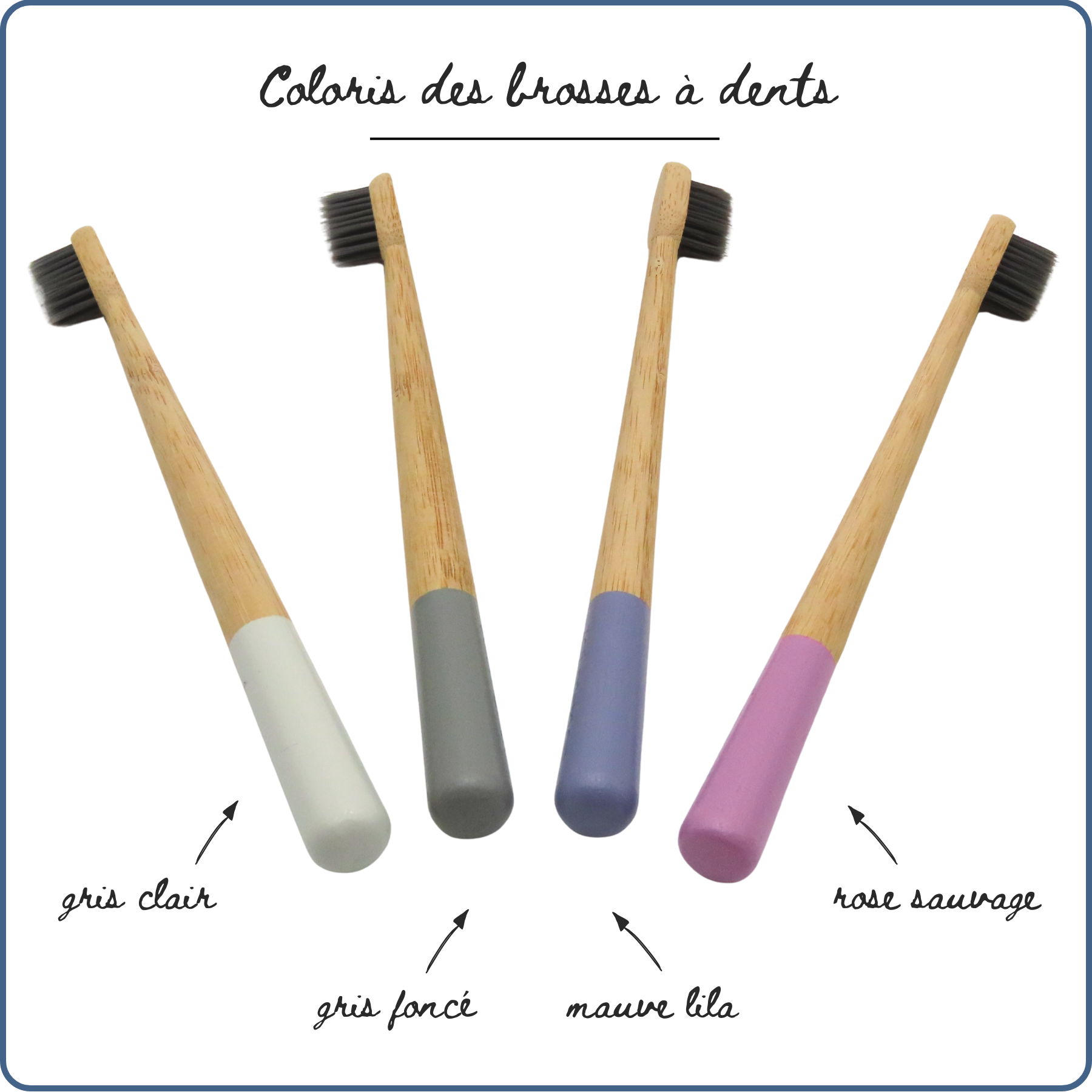 brosses à dents en Bambou écoresponsable, 4 coloris