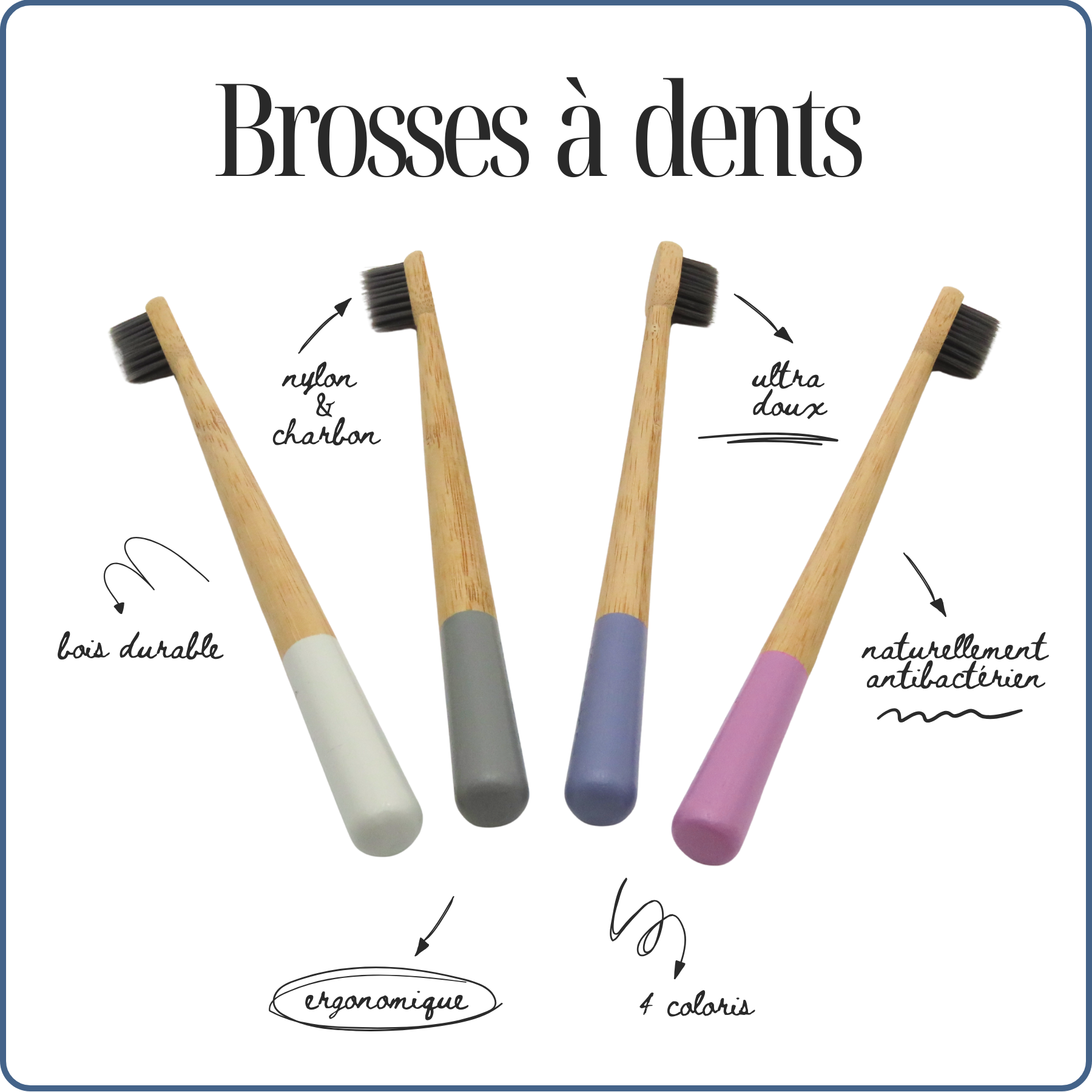 brosses à dents en Bambou écoresponsable, 4 coloris